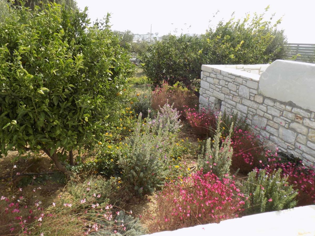 Villa Evilia Μάρπησσα Εξωτερικό φωτογραφία